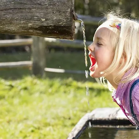 David Mauterndorf (Salzburg)