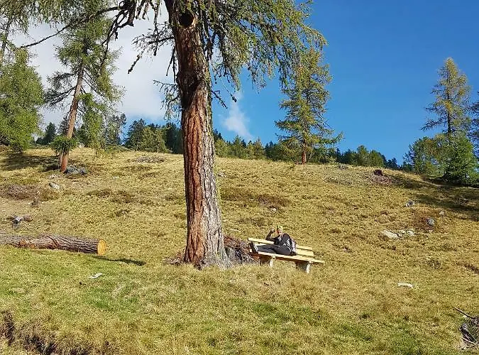 Appartamento David *