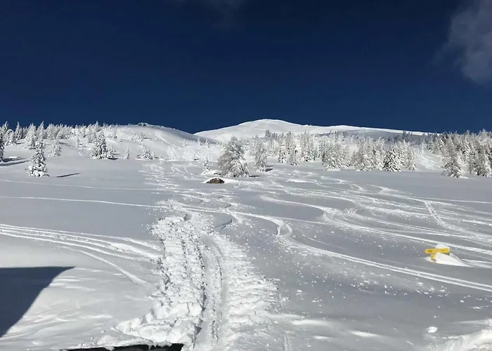 Appartamento David *