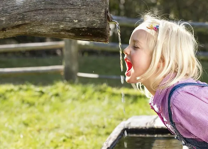 David Mauterndorf (Salzburg)